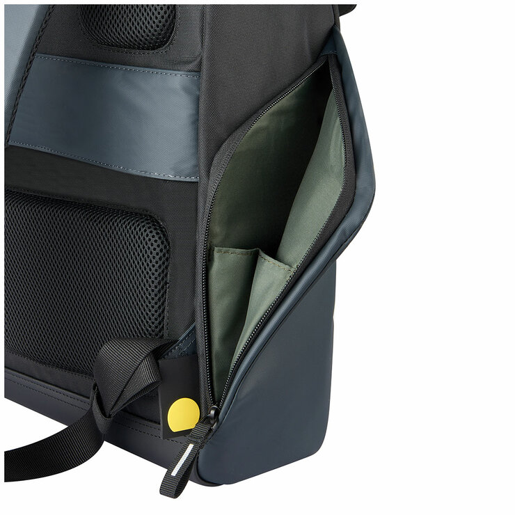Delsey Securflap Backpack