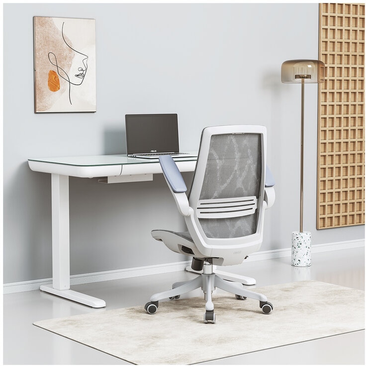 SIHOO M59 Office Chair