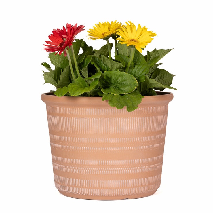 Forum Planters 3 Pack