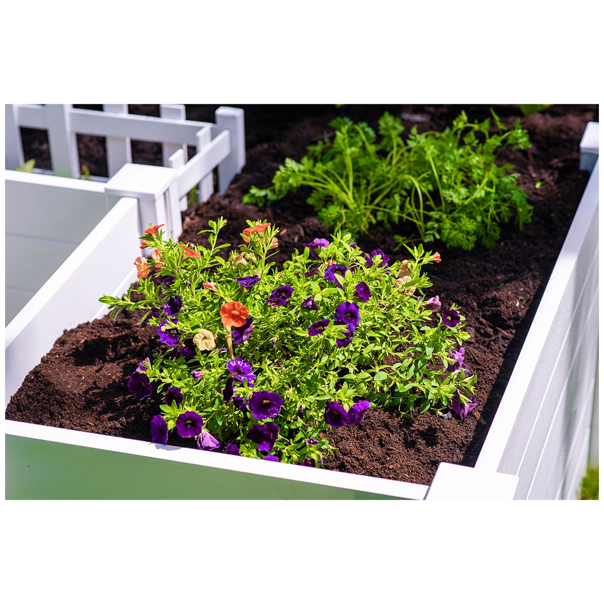 Vita Keyhole Garden Bed 182.88 x 182.88 cm