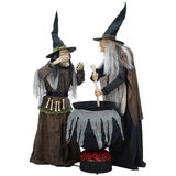 Deluxe Animated Witch Cauldron Duo