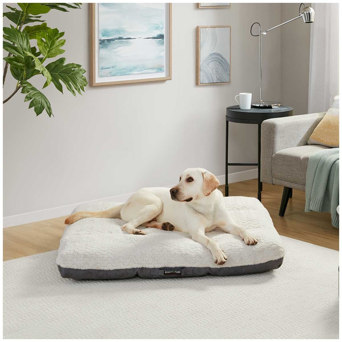 Kirkland Signature Square Tufted Napper Grey