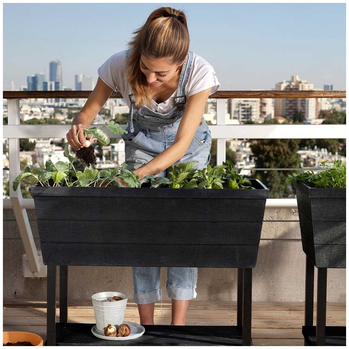 Keter Urban Bloomer 2 Pack