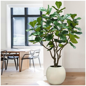 CGH Artificial Fiddle Leaf Fig Tree 2.4M