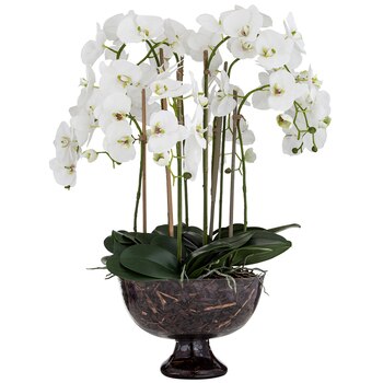 Rogue Phalaenopsis Full-Dahlia Bowl, 77 x 77 x 87cm, White Glass