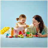 LEGO Duplo Organic Garden 10984