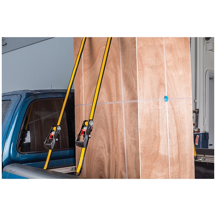 Cat 4pc Ratchet Tie Down Set 4.87m X 3.81cm Costco Australia