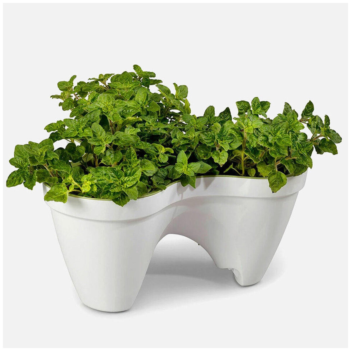 keter Ivy Planters White Green Set 3 Piece