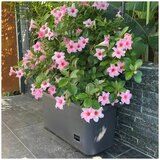 Greenlife Mobile Vege Patch with Trellis