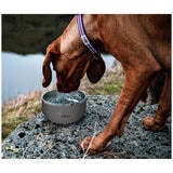 Long Paws Lunar Dog Bowls 2 Pack
