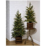 CGH Pine Trees with LED Twinkle Lights 2 Piece Set