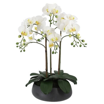 CGH Artificial Phalaenopsis Orchid Arrangement 61cm