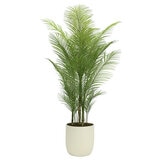 CG Hunter Faux Palm Tree in Ribbed Pot 2M