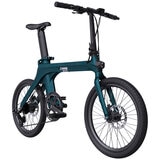 Fiido X Electric Bike