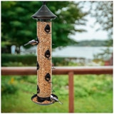 Tall Bird Feeder