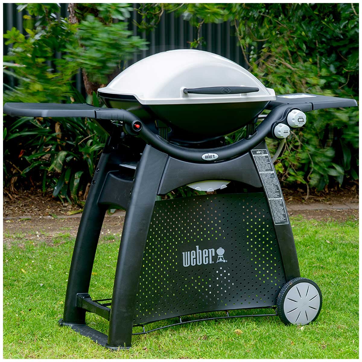 Weber Family Q3100 Titanium