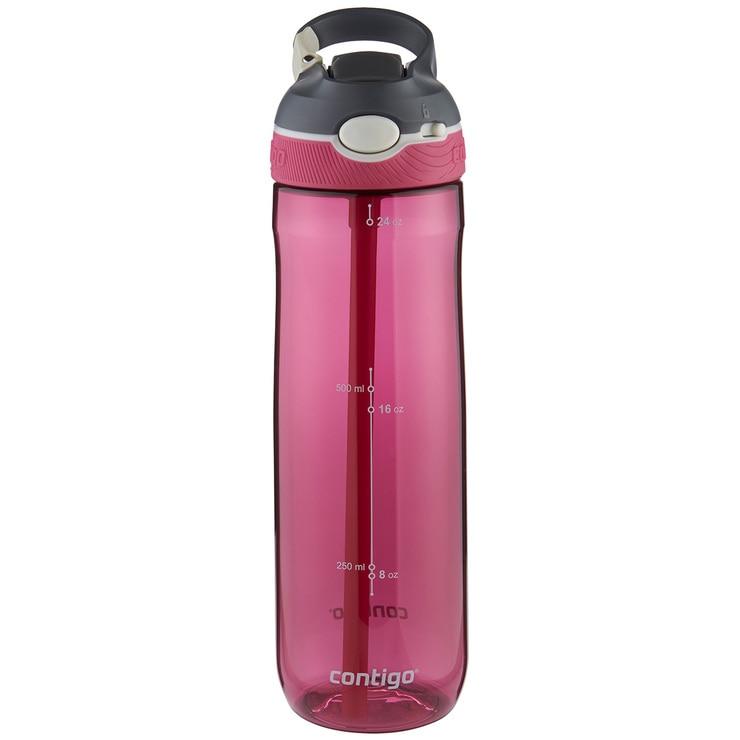 Contigo Autospout Straw Ashland Water Bottle 3pk Stormy/berry/lime