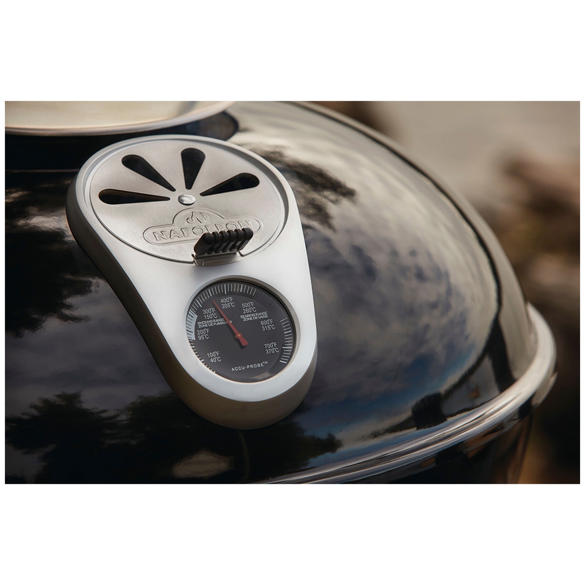 Napolean Charcoal Kettle Grill