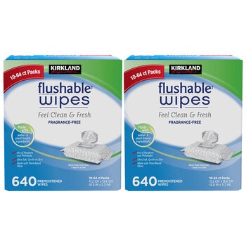 Kirkland Signature Flushable Wipes 2 x 640 Count