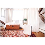 Vornado Whole Room Air Purifier AC350