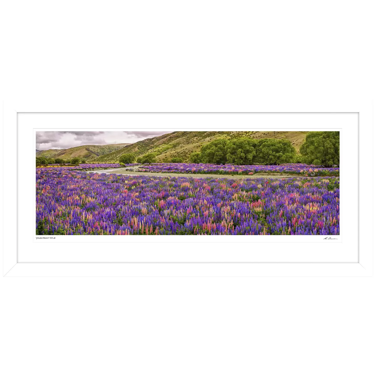 Ken Duncan Floral Canvas White Framed Print 161 x 77.3 cm