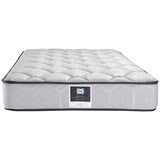 Sealy Single Collection Active + Single Mattress Sealy Single Collection Active + Single Mattress