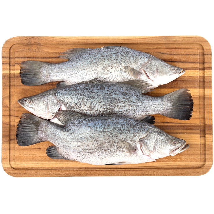 Fresh Australian Whole Baby Barramundi (Case Sale/Variable Weight 10