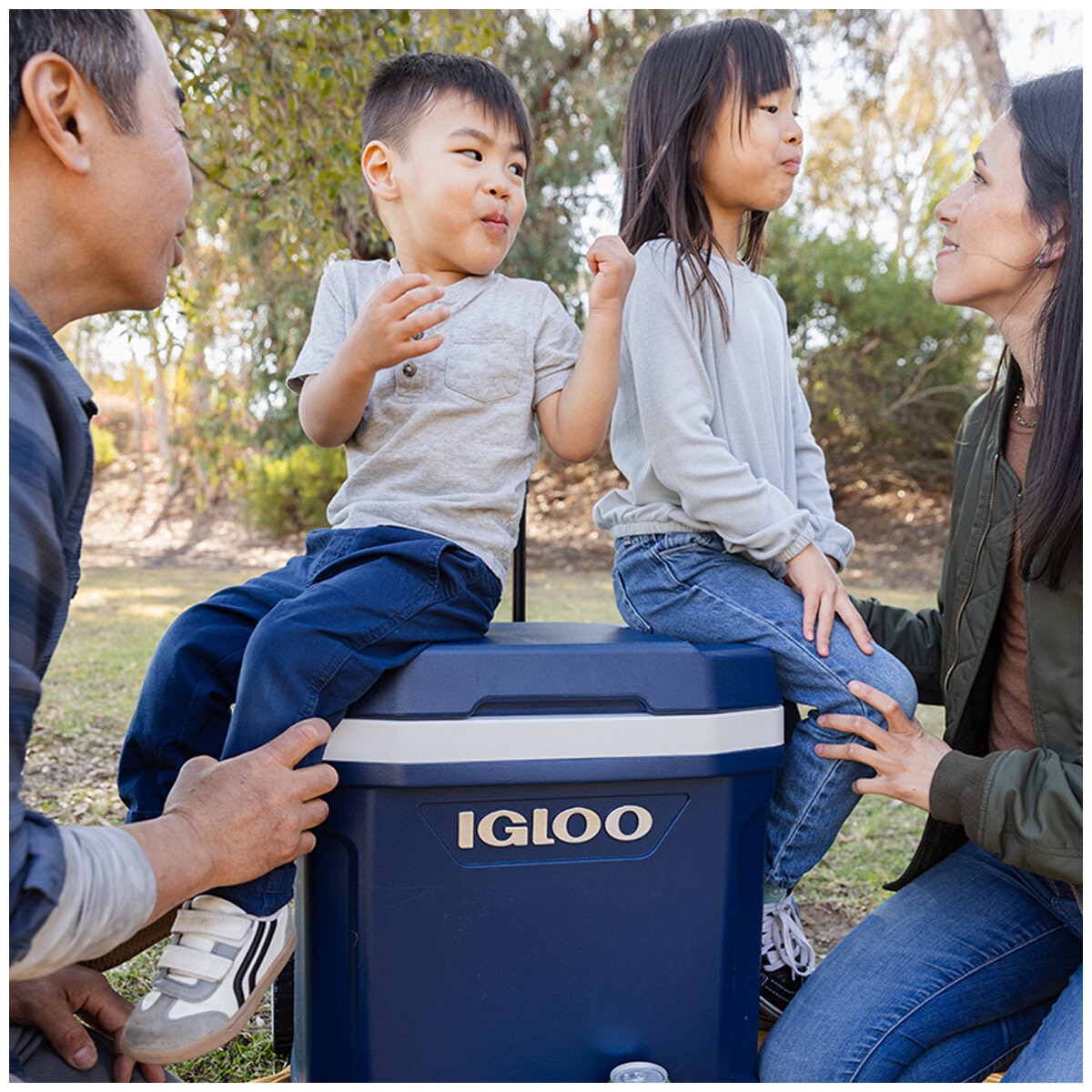 Igloo 62QT Maxcold