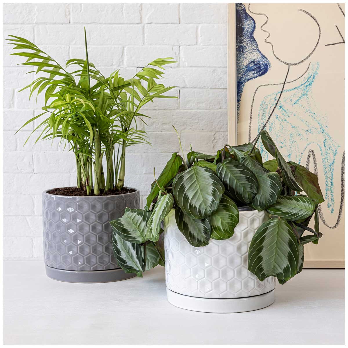 over&back Set of 2 Honeycomb Ceramic Planters