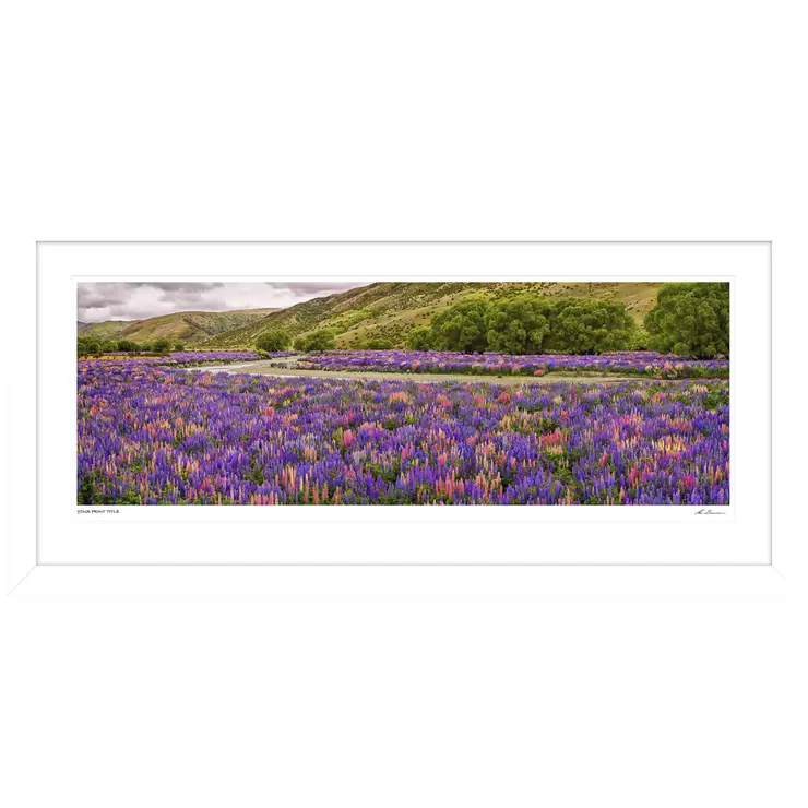 Ken Duncan Floral Canvas Framed Print Ken Duncan Floral Canvas Framed Print