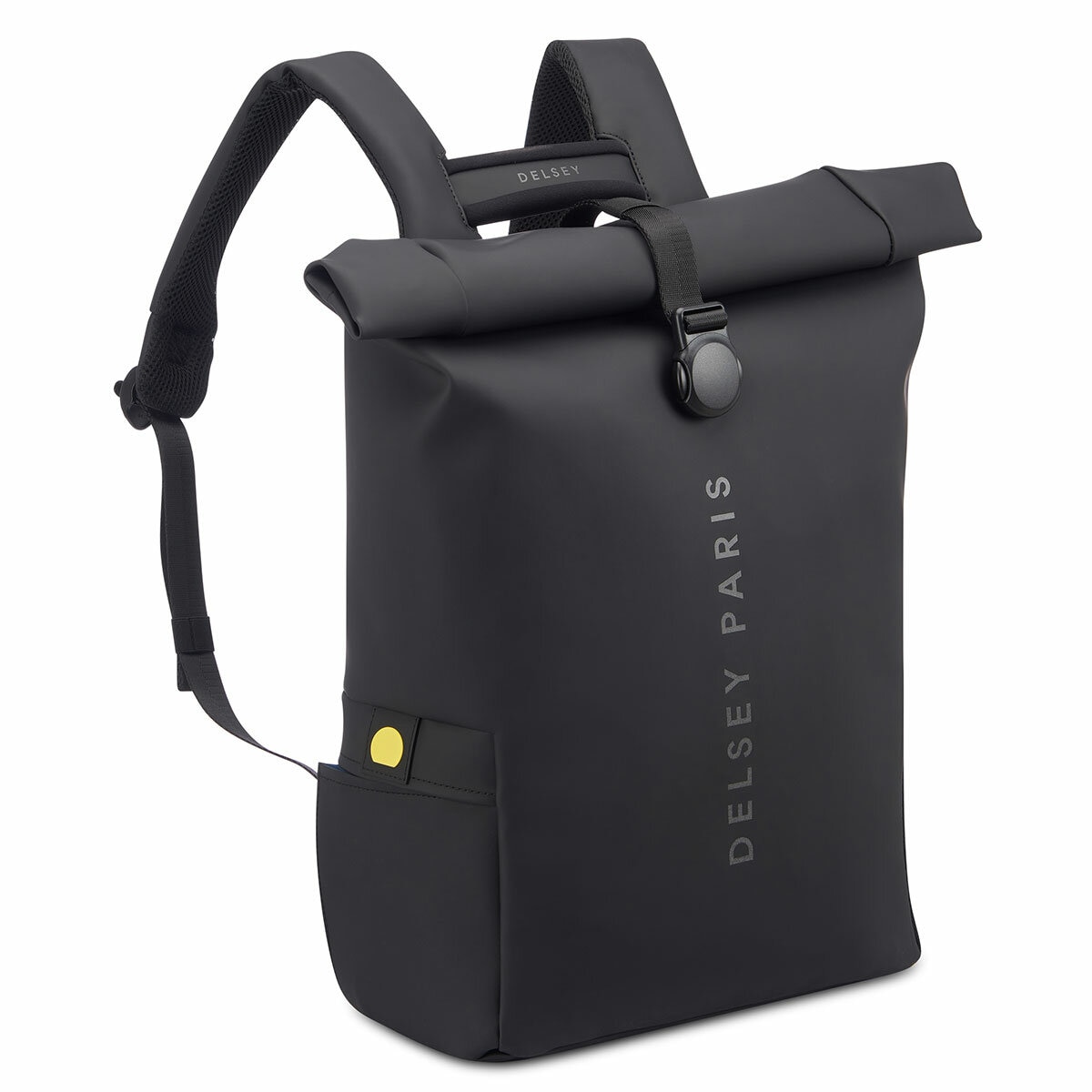 Delsey Turenne Rolltop Backpack