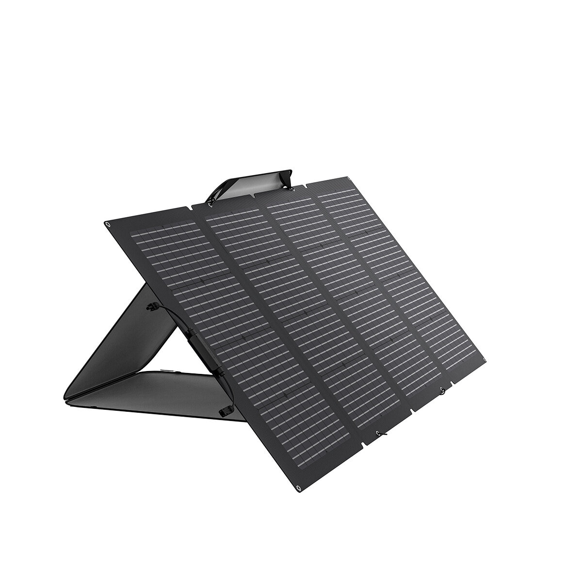 EcoFlow Delta Max 1600 Power Station + 220W Solar Panel Bundle