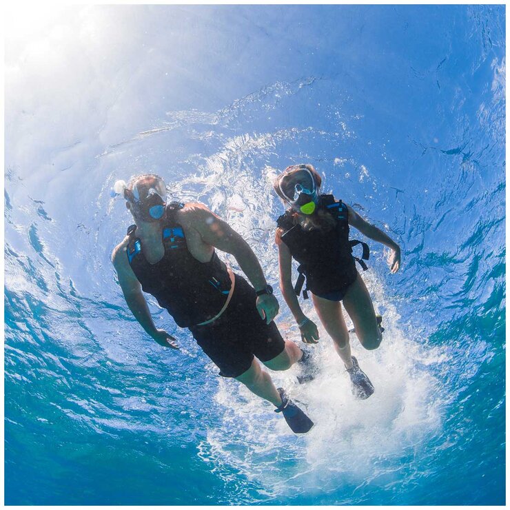 Oceanic Full Face Snorkeling Mask