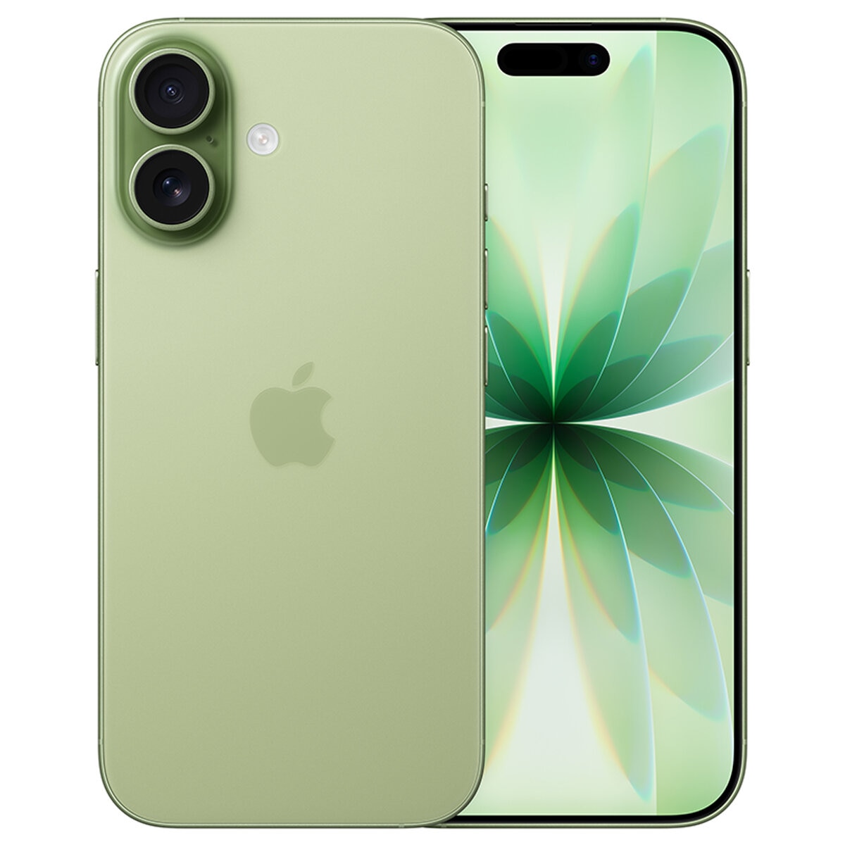 iPhone 17 Sage