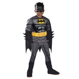 Boys Licensed Costumes