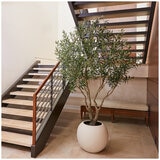 CG Hunter Faux Olive Tree 2.4M