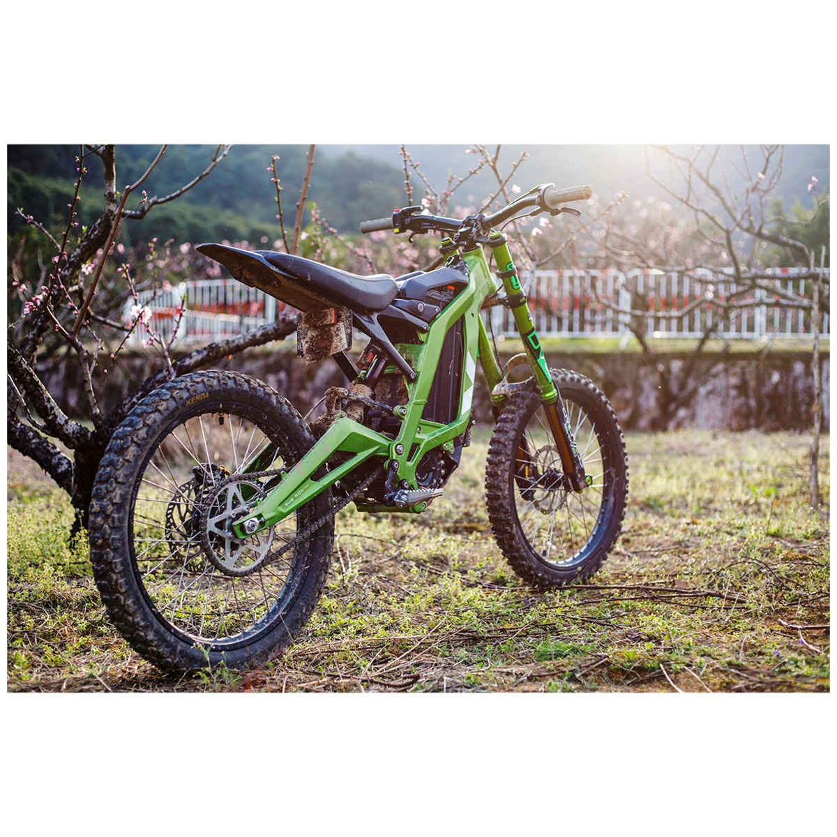 SurRon Light Bee X Off Road Electric Dirt Bike Green Costco Australia