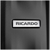 Ricardo Pacific Palisades Large Upright