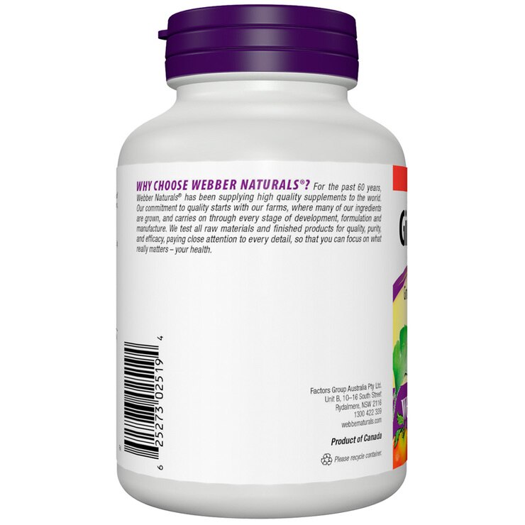 ber Naturals Ginkgo Biloba 501 Extract 60mg 250 Tablets Costco