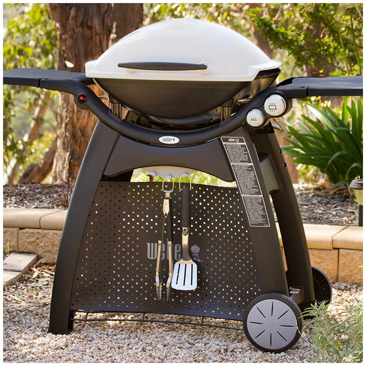 Weber Family Q3100 Titanium