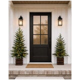 CGH Pine Trees with LED Twinkle Lights 2 Piece Set