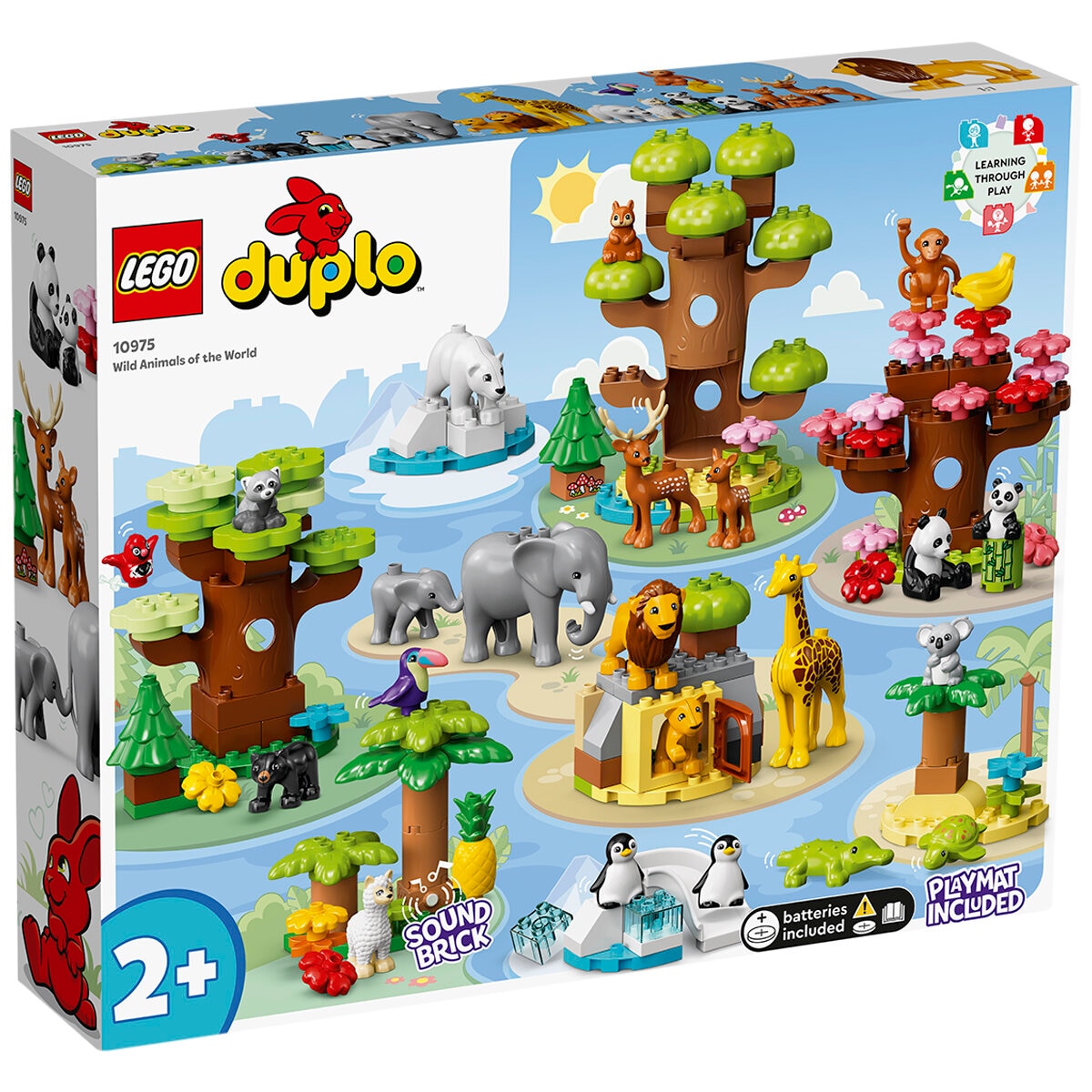 duplo