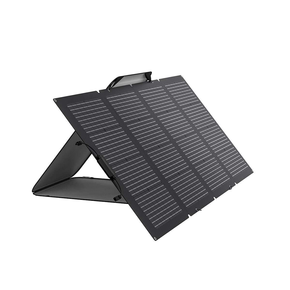 EcoFlow Delta Max 2000 Power Station + 220W Solar Panel Bundle