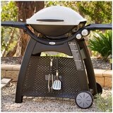 Weber Family Q3100 Titanium