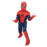 Boys Licensed Costumes