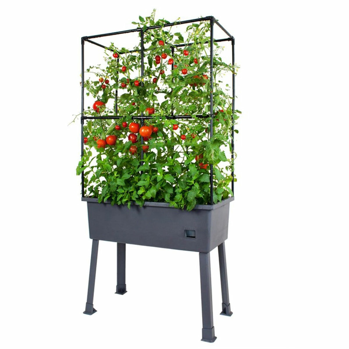 Greenlife Mobile Planter Box with Leg Kit