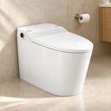 Mercio Kyoto Intelligent Toilet Mercio Kyoto Intelligent Toilet