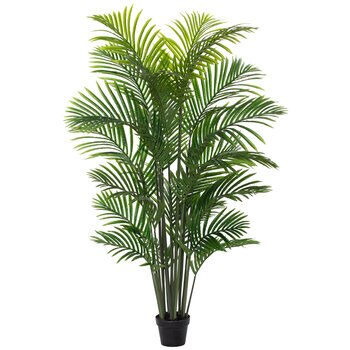 Rogue Acrea Palm Tree with Garden Pot 100 x 150 x 100 cm