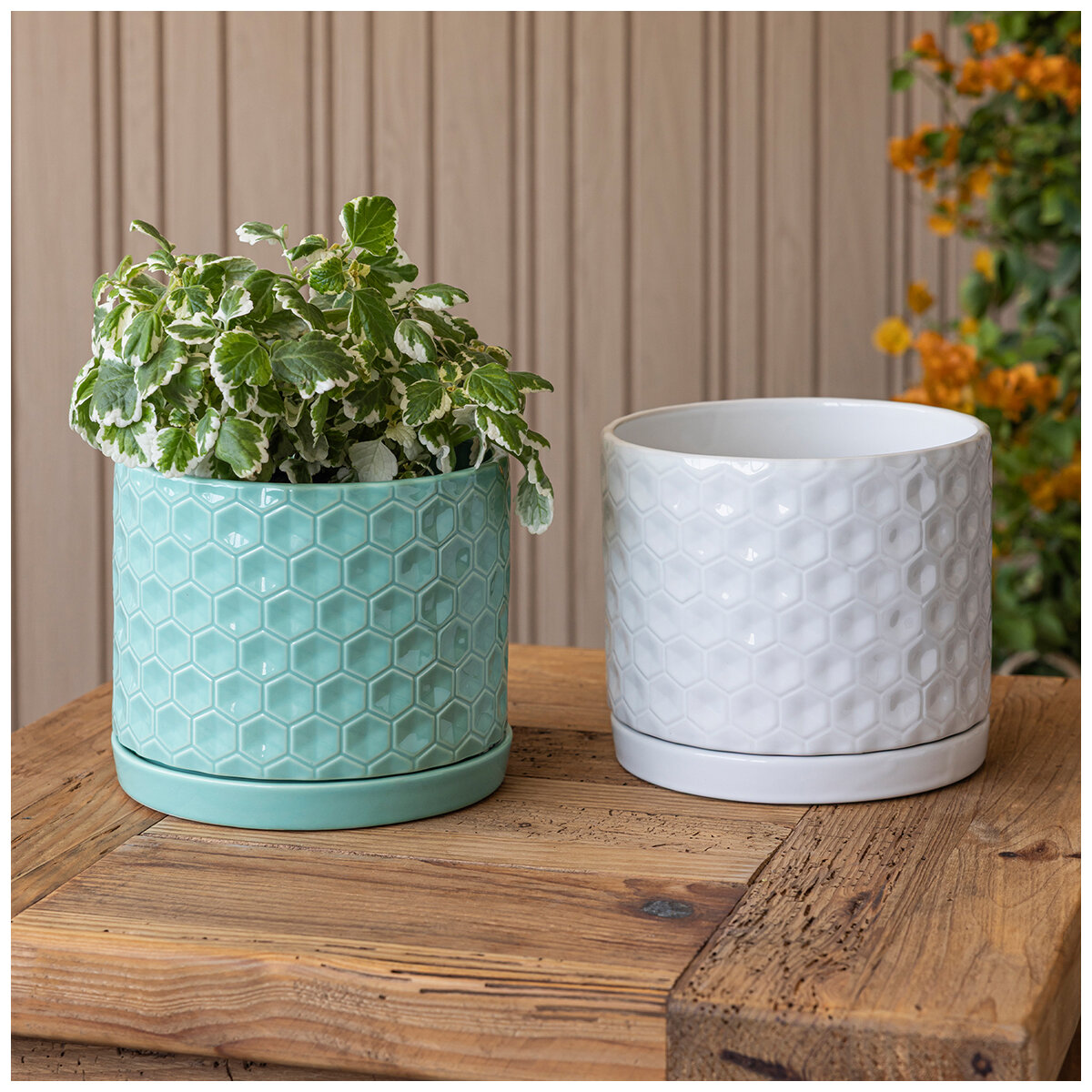 over&back Set Of 2 Honeycomb Ceramic Planters White Blue over&back Set Of 2 Honeycomb Ceramic Planters White Blue