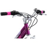 Schwinn Breaker Disc 24 Inch Girls Bike